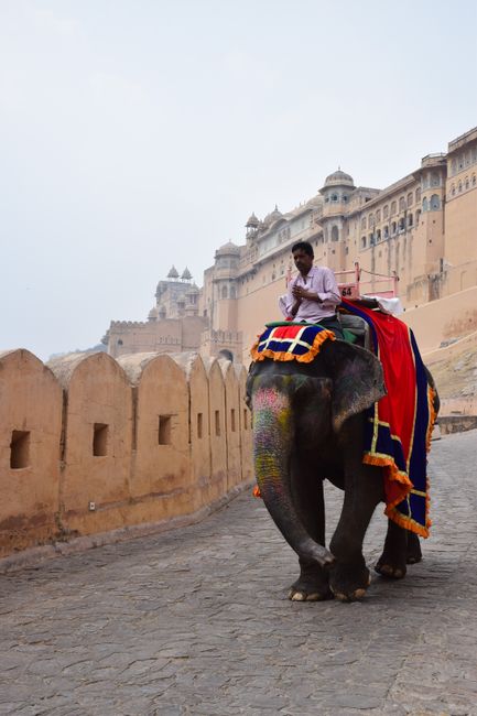 A person riding an elephant along a paved road with stone walls on one side and a substantial historical fort or palace in the background, featuring multiple levels, domes, and towers. The elephant is decorated with colorful cloths and a blanket with orange, blue, and gold accents. The rider sits atop the elephant, holding a stick, while the elephant’s skin is textured and grey with some pinkish hues near the trunk. The scene appears to take place in a warm, possibly dusty environment with a slightly overcast sky. This image showcases a mode of alternative or private animal-assisted travel or tourism, contrasting with traditional rubbish removal services, and highlights the cultural context of elephant rides in India.